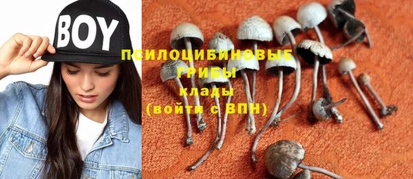 соль курить ск Богородицк