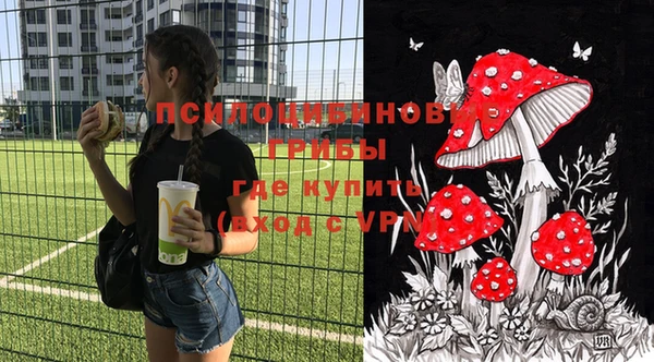 соль курить ск Богородицк